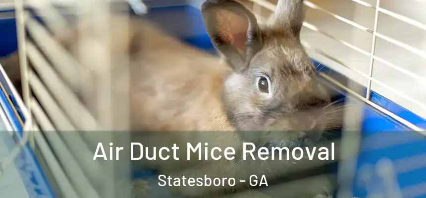  Air Duct Mice Removal Statesboro - GA