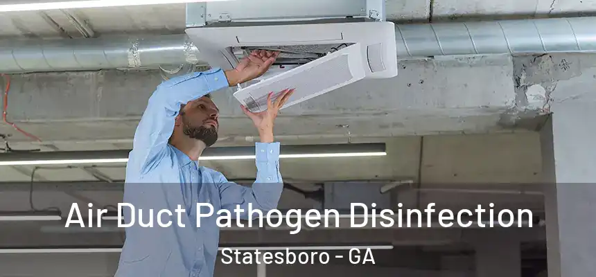  Air Duct Pathogen Disinfection Statesboro - GA