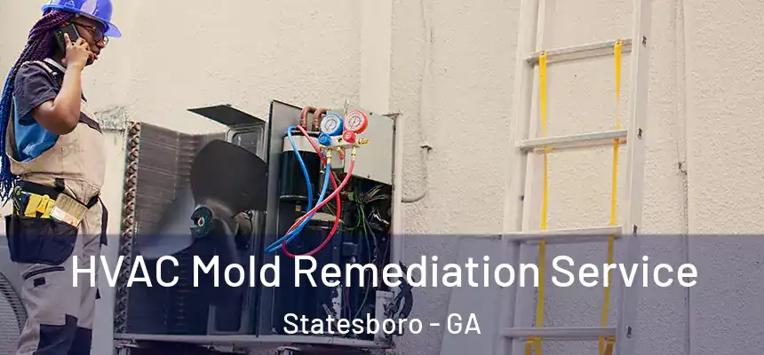  HVAC Mold Remediation Service Statesboro - GA