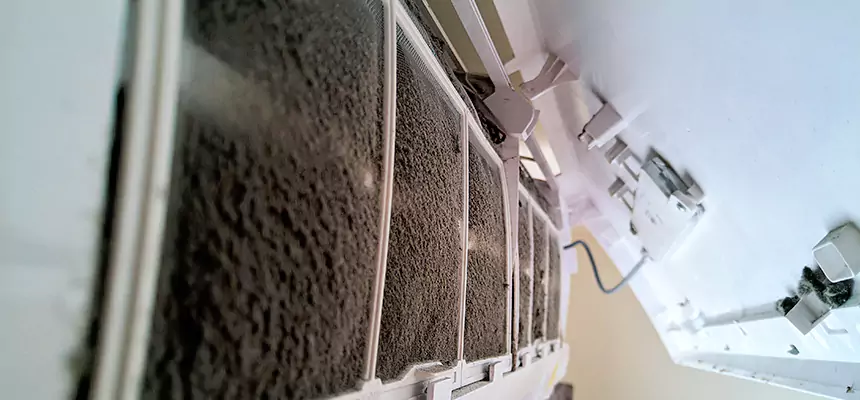 Preventive Air Duct Bacteria Removal in Statesboro