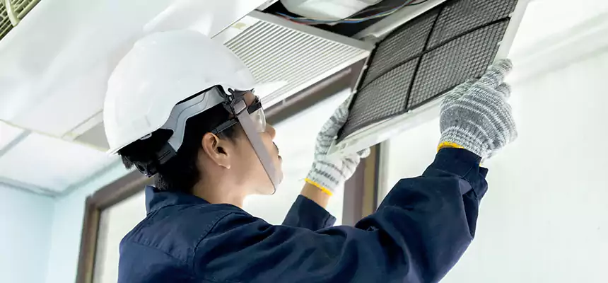 Our Mold & Mildew Removal from Air Ducts Services in Statesboro, GA