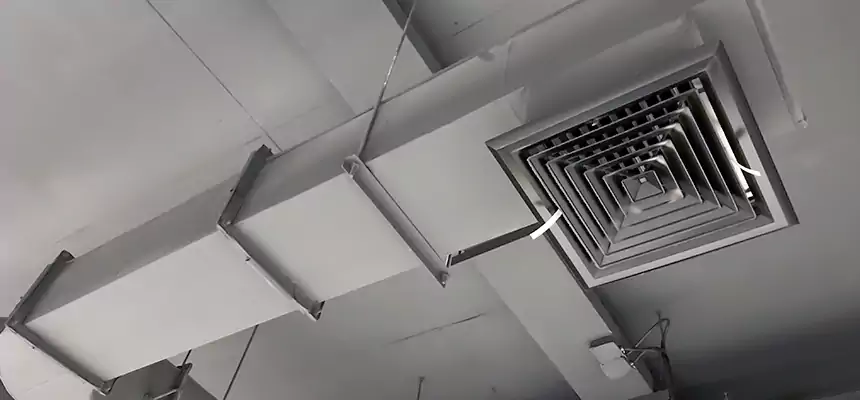 Our Pest Removal From Ducts Services in Statesboro, GA