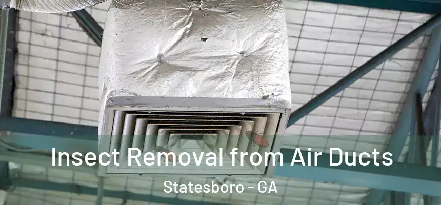  Insect Removal from Air Ducts Statesboro - GA