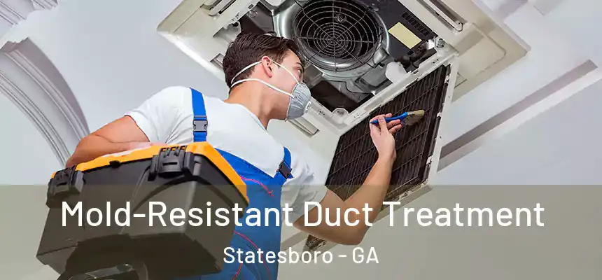  Mold-Resistant Duct Treatment Statesboro - GA