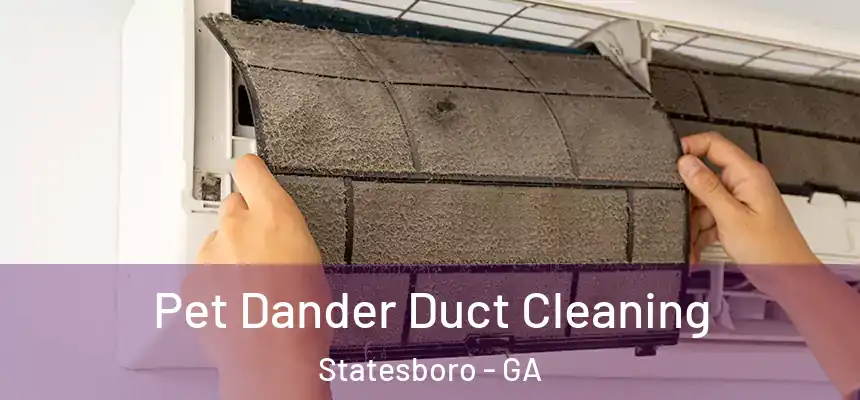 Pet Dander Duct Cleaning Statesboro - GA