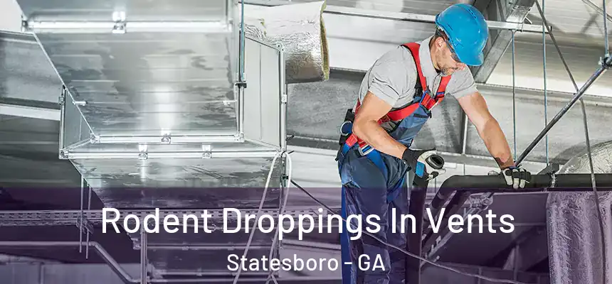  Rodent Droppings In Vents Statesboro - GA