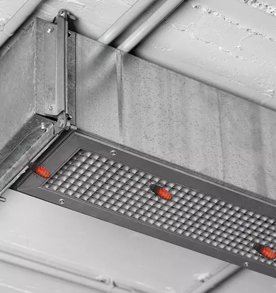 About Air Duct Cockroach Removal in Statesboro, GA