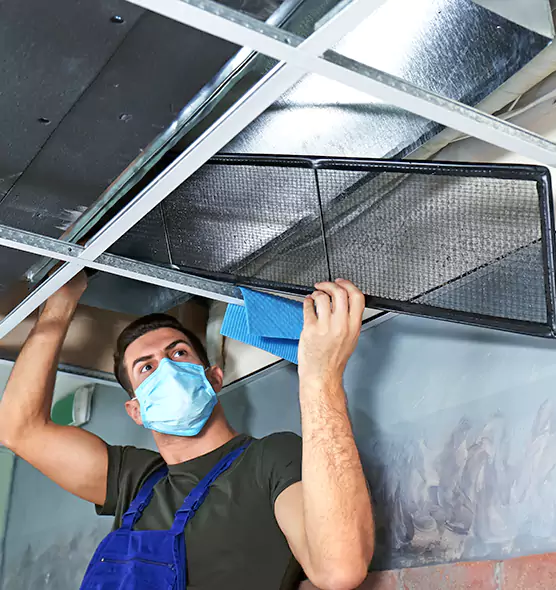 Professional Air Duct Pollen Cleaning in Statesboro, GA