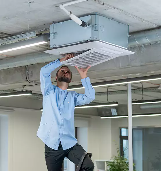 Advanced Rodent Droppings In Vents in Statesboro, GA