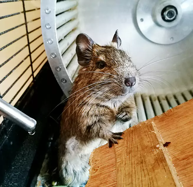 Why Homeowners & Businesses Trust Us Statesboro, GA?