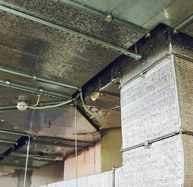 Why Homeowners & Businesses Trust Us in Statesboro, GA?